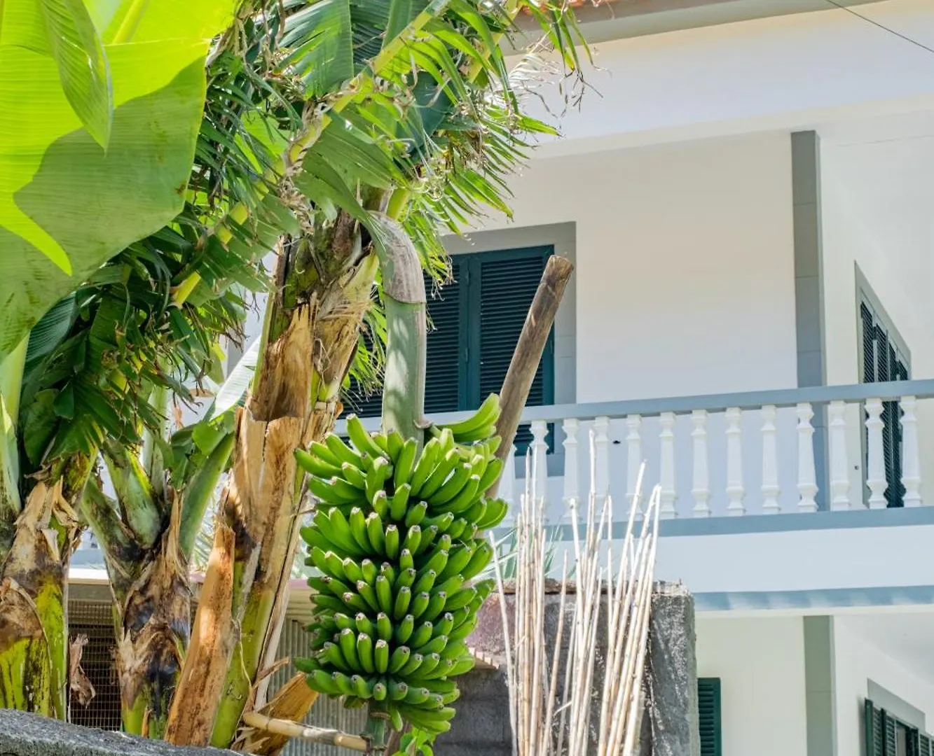 Sao Vicente Guest House